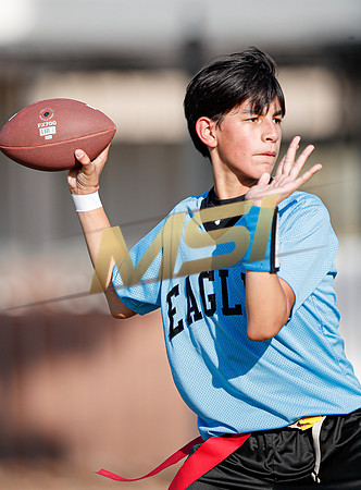St. Mary Basha losses to  Our Lady of Mount Carmel