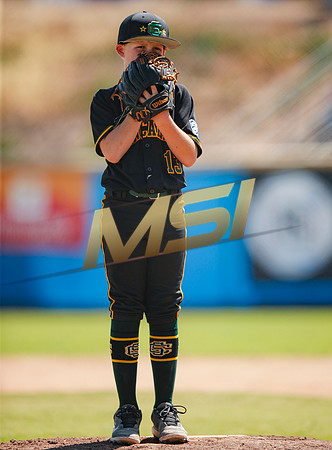 Little League All-Star Baseball All-Star Championship Game