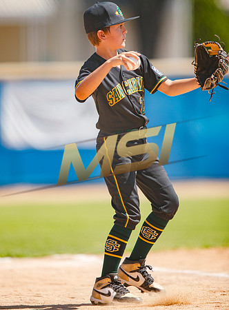 Little League All-Star Baseball All-Star Championship Game