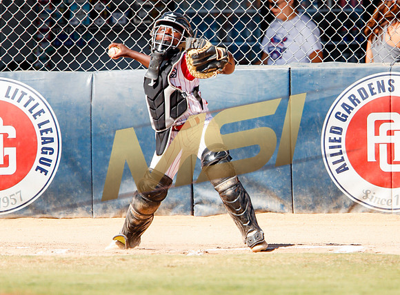 Little League All-Star Baseball All-Star Championship Game