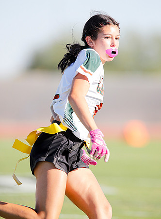 SEP. 21 2024: AIA High School Flag Football (Arizona Honor Bowl)