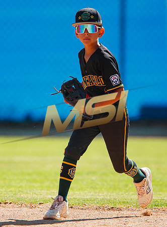 Little League All-Star Baseball All-Star Championship Game
