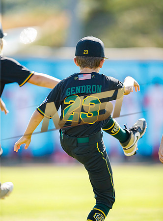 Little League All-Star Baseball All-Star Championship Game
