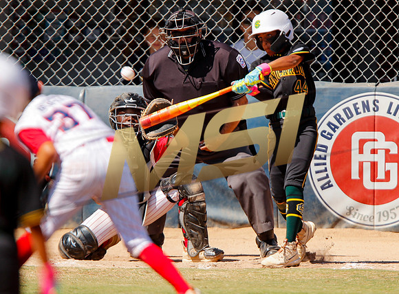 Little League All-Star Baseball All-Star Championship Game