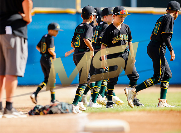 Little League All-Star Baseball All-Star Championship Game