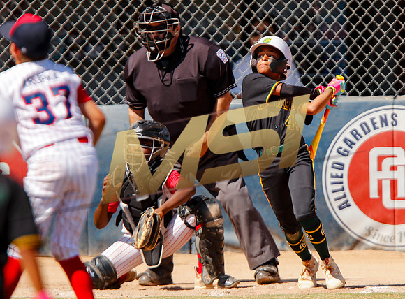 Little League All-Star Baseball All-Star Championship Game