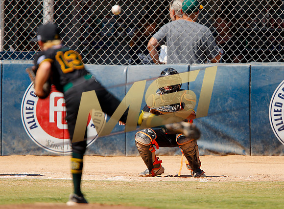 Little League All-Star Baseball All-Star Championship Game