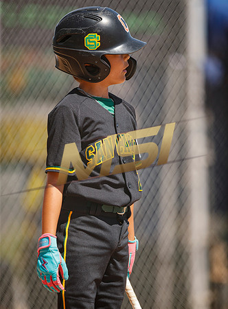 Little League All-Star Baseball All-Star Championship Game