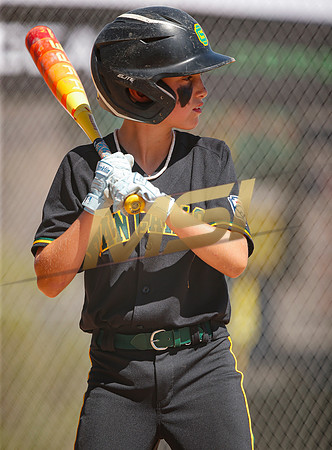 Little League All-Star Baseball All-Star Championship Game