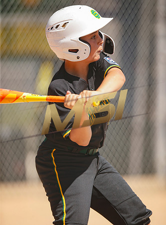 Little League All-Star Baseball All-Star Championship Game