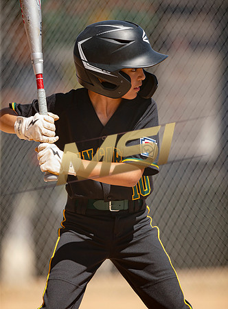 Little League All-Star Baseball All-Star Championship Game