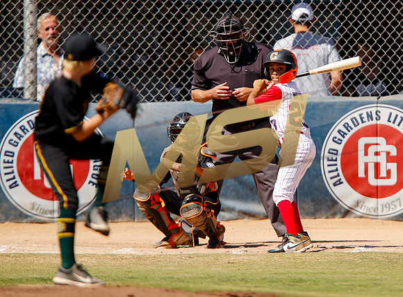 Little League All-Star Baseball All-Star Championship Game