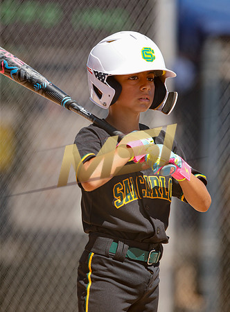 Little League All-Star Baseball All-Star Championship Game