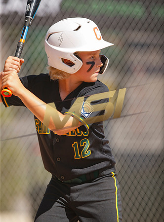 Little League All-Star Baseball All-Star Championship Game