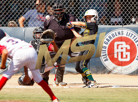 Little League All-Star Baseball All-Star Championship Game