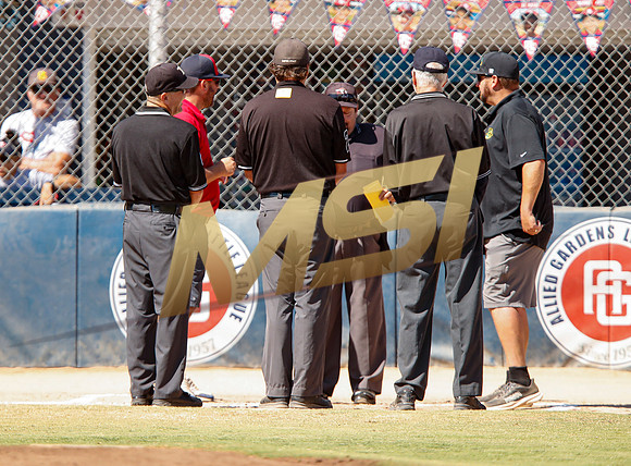 Little League All-Star Baseball All-Star Championship Game