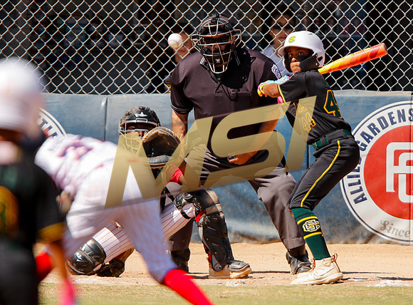 Little League All-Star Baseball All-Star Championship Game