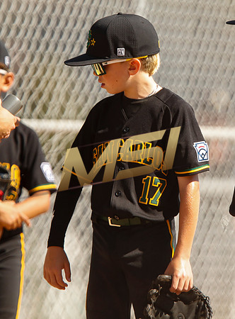 Little League All-Star Baseball All-Star Championship Game