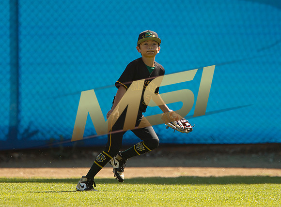 Little League All-Star Baseball All-Star Championship Game