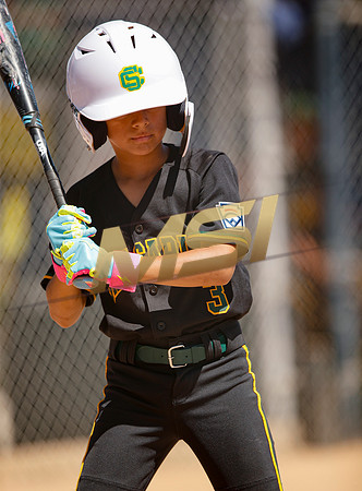 Little League All-Star Baseball All-Star Championship Game