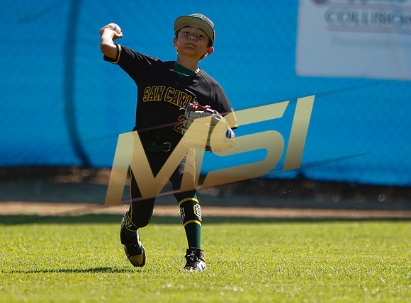 Little League All-Star Baseball All-Star Championship Game