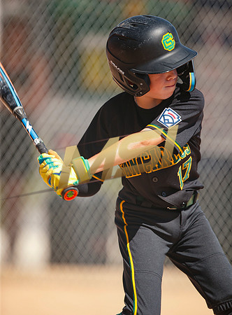 Little League All-Star Baseball All-Star Championship Game
