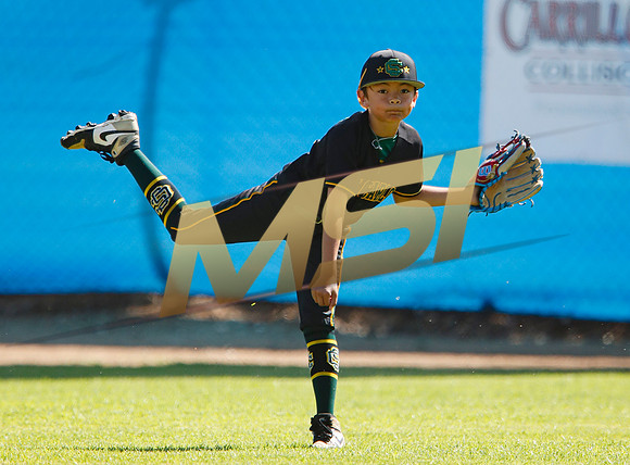 Little League All-Star Baseball All-Star Championship Game