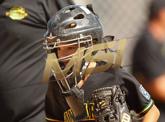 Little League All-Star Baseball All-Star Championship Game
