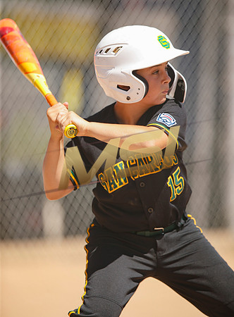 Little League All-Star Baseball All-Star Championship Game