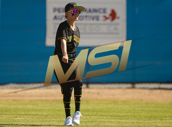 Little League All-Star Baseball All-Star Championship Game
