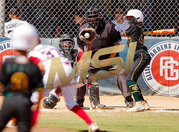 Little League All-Star Baseball All-Star Championship Game