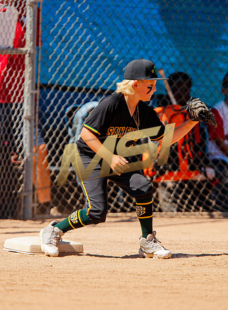 Little League All-Star Baseball All-Star Championship Game