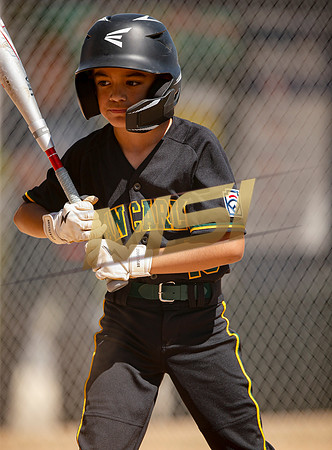 Little League All-Star Baseball All-Star Championship Game