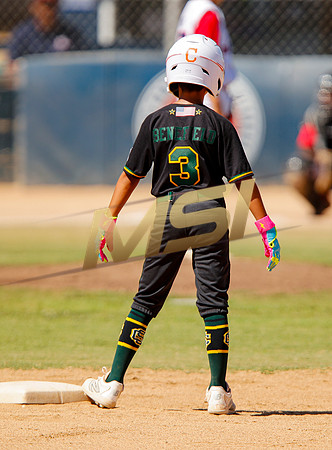 Little League All-Star Baseball All-Star Championship Game