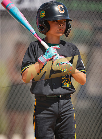 Little League All-Star Baseball All-Star Championship Game
