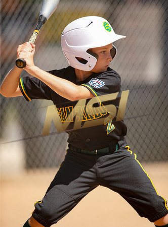 Little League All-Star Baseball All-Star Championship Game