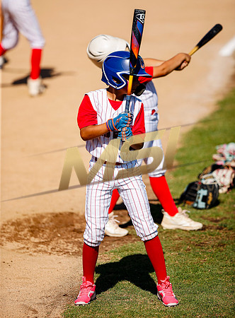 Little League All-Star Baseball All-Star Championship Game