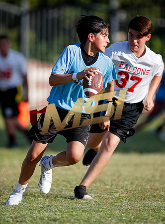 St. Mary Basha losses to  Our Lady of Mount Carmel