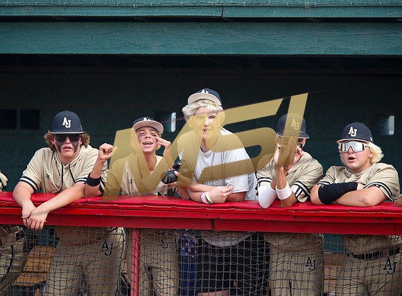 AIA Play-0ff Varsity Baseball  Apache Juction vs Seton