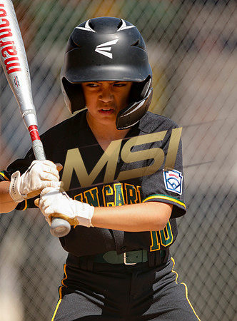 Little League All-Star Baseball All-Star Championship Game