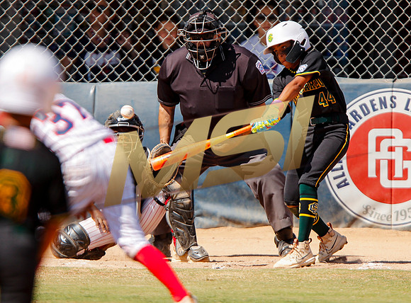 Little League All-Star Baseball All-Star Championship Game