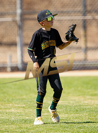 Little League All-Star Baseball All-Star Championship Game