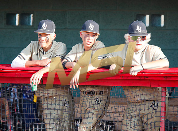 AIA Play-0ff Varsity Baseball  Apache Juction vs Seton