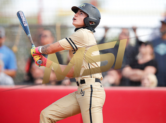 AIA Play-0ff Varsity Baseball  Apache Juction vs Seton