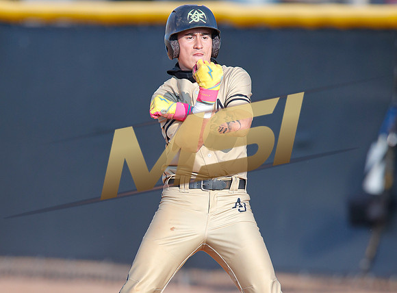 AIA Play-0ff Varsity Baseball  Apache Juction vs Seton