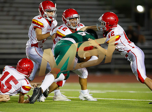 SEP. 17 2024: AIA High School JV Football
