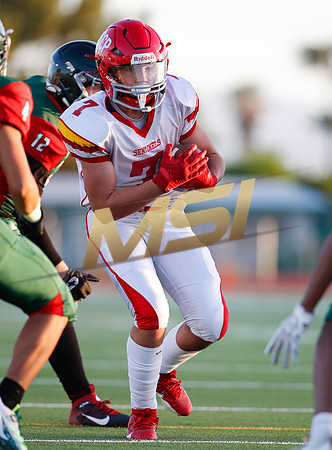 SEP. 17 2024: AIA High School JV Football