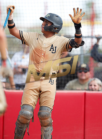 AIA Play-0ff Varsity Baseball  Apache Juction vs Seton
