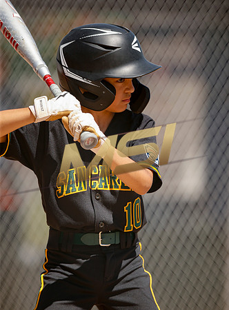 Little League All-Star Baseball All-Star Championship Game